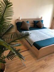 Inviting bedroom with a double bed, green bedding, and decorative pillows, featuring bedside lamps and a large indoor plant