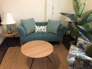 Cozy living room with a green sofa, wooden coffee table, and decorative plants.