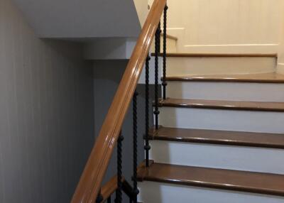 Interior staircase with wooden handrail