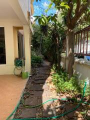 Side yard with pathway and greenery