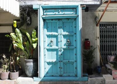 Photo of a bright blue door with metal accents, surrounded by potted plants