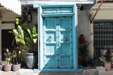 Photo of a bright blue door with metal accents, surrounded by potted plants