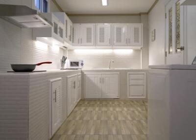 Modern kitchen with white cabinets