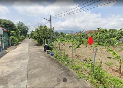 Rural road with houses and green vegetation