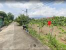 Rural road with houses and green vegetation