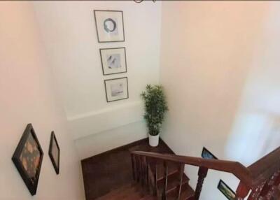 Interior staircase with framed artwork and potted plant