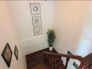 Interior staircase with framed artwork and potted plant