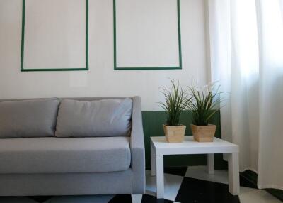 Small living room with a grey sofa and a white side table with potted plants