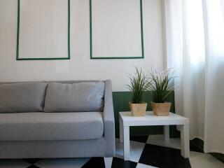 Small living room with a grey sofa and a white side table with potted plants