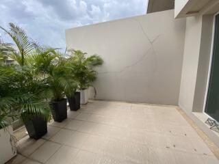 Spacious balcony with plant decor