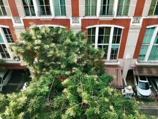 Street view of a residential building with large windows and trees