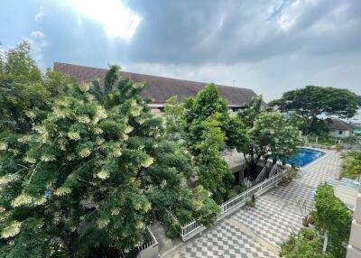 Outdoor view with surrounding greenery and pool