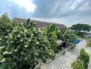 Outdoor view with surrounding greenery and pool