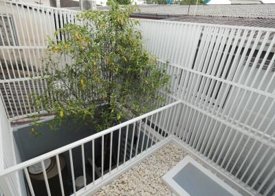 Outdoor area with white railing and green tree