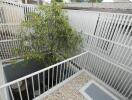 Outdoor area with white railing and green tree