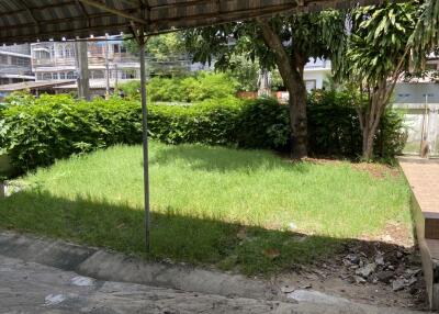 Backyard with green lawn and trees