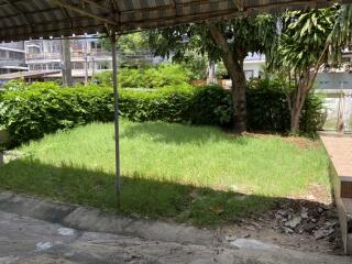 Backyard with green lawn and trees