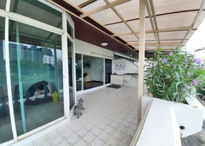 Large balcony with a view of the city, plants, and modern decor