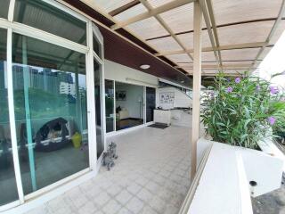 Large balcony with a view of the city, plants, and modern decor