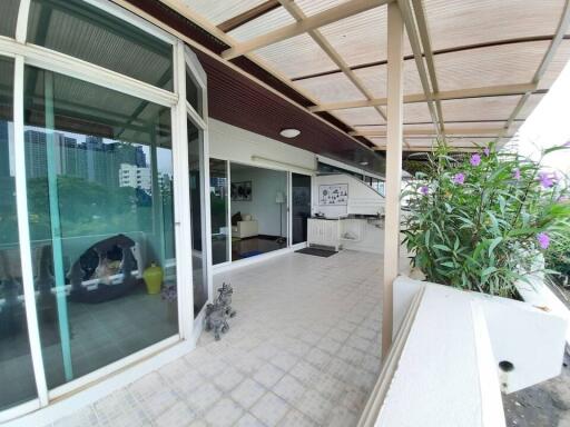 Large balcony with a view of the city, plants, and modern decor