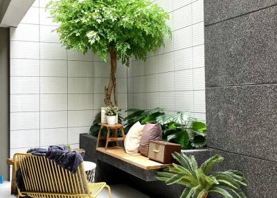 Modern living space with indoor greenery