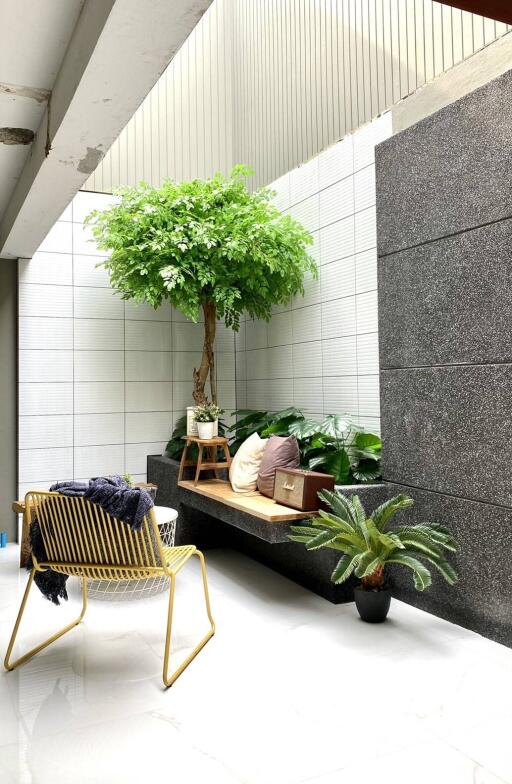 Modern living space with indoor greenery