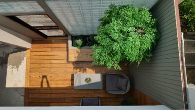 Aerial view of a cozy balcony with wooden flooring and greenery