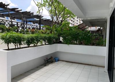 Covered outdoor patio with plants.