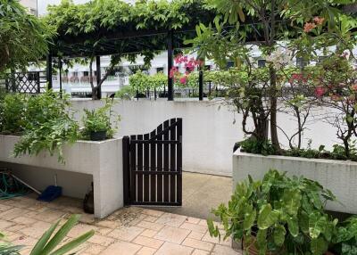 Outdoor garden area with gate and plants