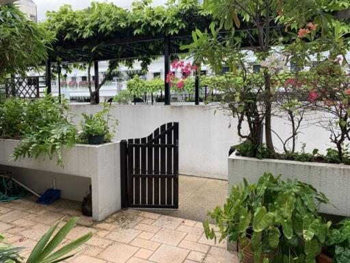 Outdoor garden area with gate and plants