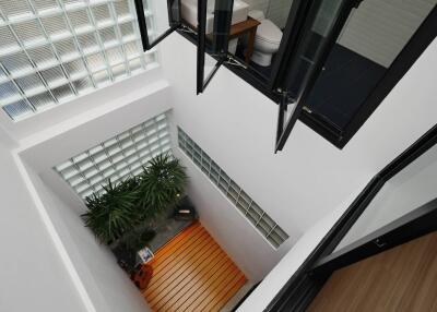 Interior view of a modern building with a skylight and indoor plants