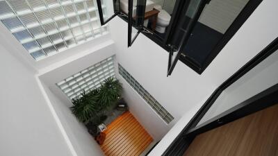 Interior view of a modern building with a skylight and indoor plants