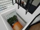 Interior view of a modern building with a skylight and indoor plants