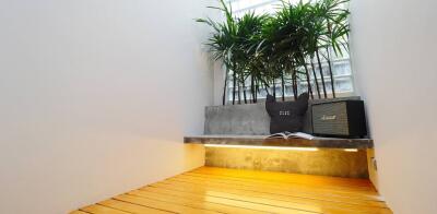 Indoor garden space with plants and a small bench