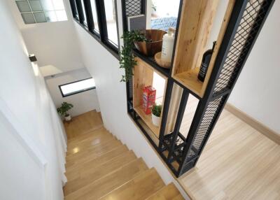 Modern staircase with wooden steps and decorative shelving