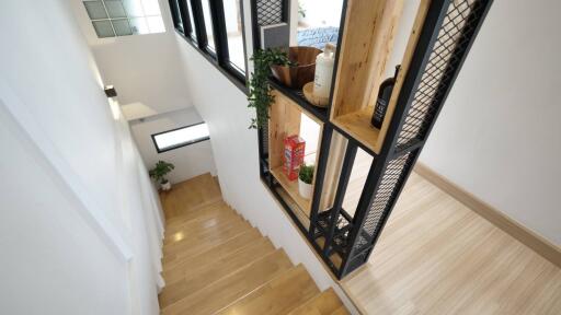 Modern staircase with wooden steps and decorative shelving