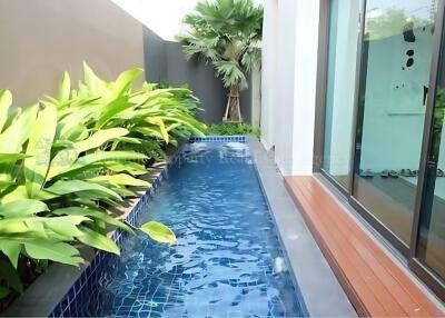 Outdoor swimming pool with surrounding greenery