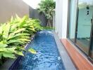 Outdoor swimming pool with surrounding greenery