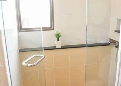 Modern bathroom with glass shower and small potted plant