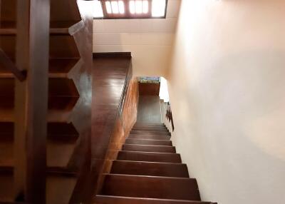 Wooden staircase with natural light