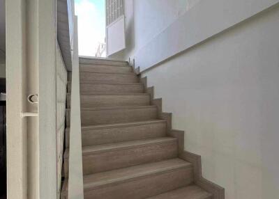 Interior staircase with wooden steps and white walls