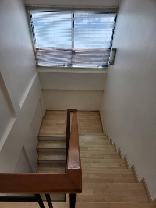 Wooden staircase with natural light