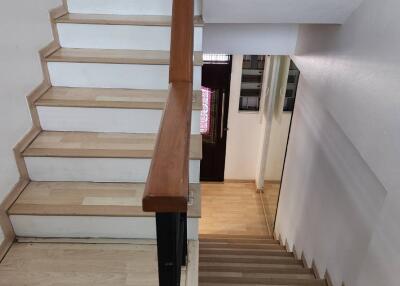 Indoor staircase with wooden steps and handrails