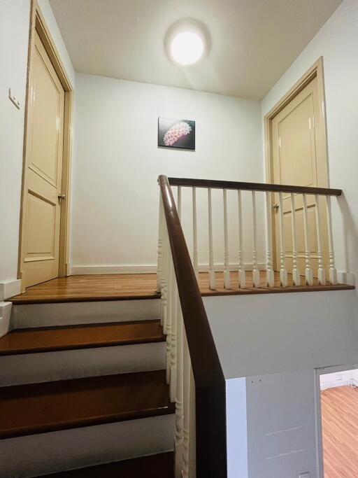 Interior staircase with wooden steps and railing