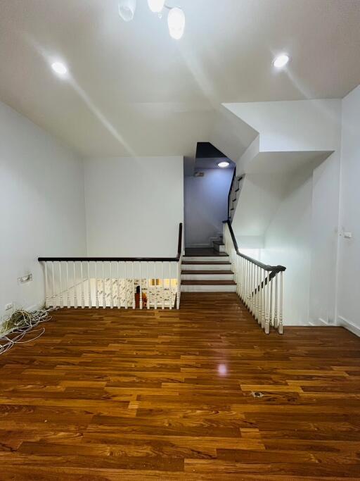 Stairway with wooden floor and white walls leading to an upper and lower level