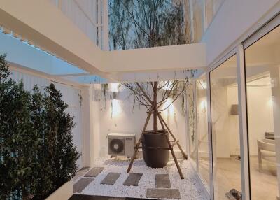 Modern indoor courtyard with glass walls and potted trees