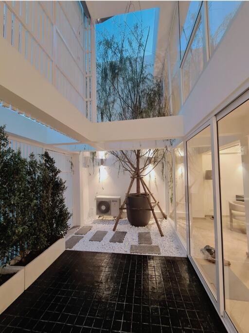 Modern indoor courtyard with glass walls and potted trees