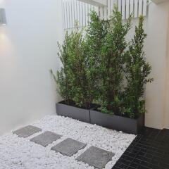 Outdoor garden area with potted plants and white pebbles