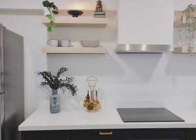 Modern kitchen with decorative shelves and appliances