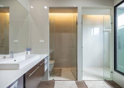 Modern bathroom with large mirror, double sink, glass shower and toilet